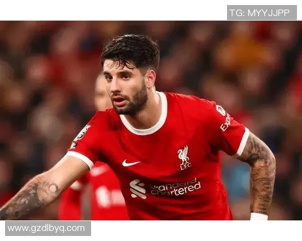 索博斯洛伊的神秘魅力与历史传承探秘之旅